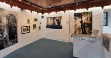 Load image into Gallery viewer, "Shaft" Woodstock Gardens