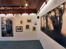 Load image into Gallery viewer, "Yew Walk" Woodstock Gardens