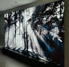 Load image into Gallery viewer, &quot;Líníocht le Solas&quot; Light installation
