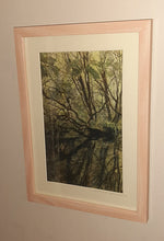 Load image into Gallery viewer, Green dream lagoon ~ Monard

